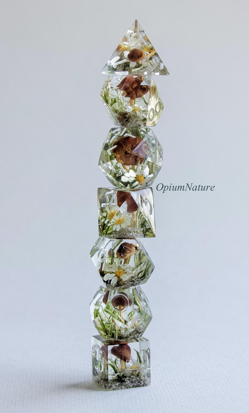May include: A set of six clear resin dice with embedded dried flowers and mushrooms. The dice are stacked in a tower, with the largest die at the bottom and the smallest die at the top. The dice are numbered 1 through 6.