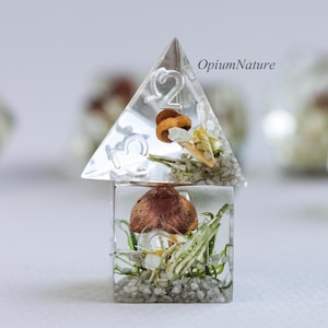 Forest dice set with real mushrooms Critical Role resin polyhedral dice set for RPG game Dungeons and Dragons