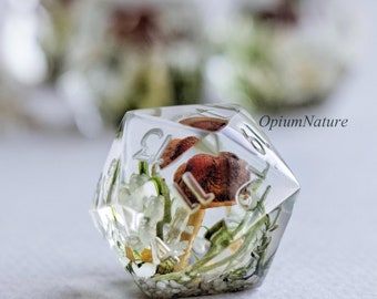 Forest Mushroom D20 Dice: Handmade Resin Polyhedral Dice for D&D