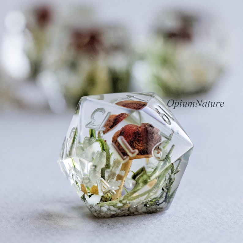 May include: A clear resin dice with a mushroom and greenery inside. The dice is a 20-sided die with the numbers 1-20 visible on the faces. The mushroom is brown and white with a red cap. The greenery is green and white.