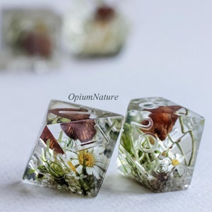 May include: Two clear resin dice with dried flowers and leaves inside. The dice are shaped like a cube and have a white background. The flowers are white and brown.