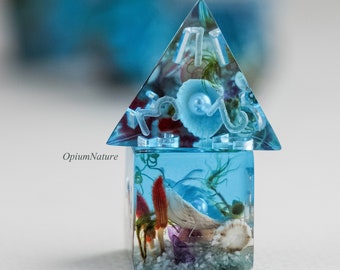 Ocean world - Aquarium dice set with real sea shell Critical Role resin polyhedral dice set for RPG game Dungeons and dragons