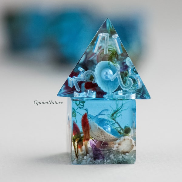 Ocean world - Aquarium dice set with real sea shell Critical Role resin polyhedral dice set for RPG game Dungeons and dragons