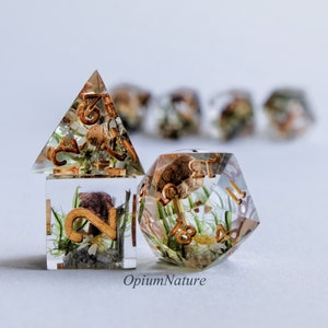 May include: A set of clear resin dice with gold accents and dried flowers and plants embedded inside. The dice are in the shape of a pyramid and a cube. The pyramid die has the number 2 on it, and the cube die has the number 18 on it.