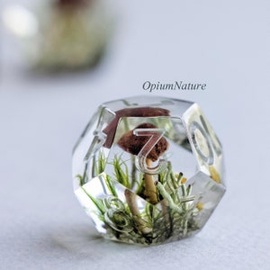 May include: A clear, multi-sided dice with numbers 1-8, filled with a miniature forest scene. The scene includes a small brown mushroom, green moss, and other small plants. The dice is labeled "OptiumNature".