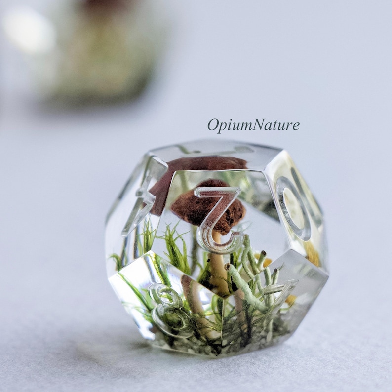 May include: A clear, multi-sided dice with numbers 1-8, filled with a miniature forest scene. The scene includes a small brown mushroom, green moss, and other small plants. The dice is labeled "OptiumNature".