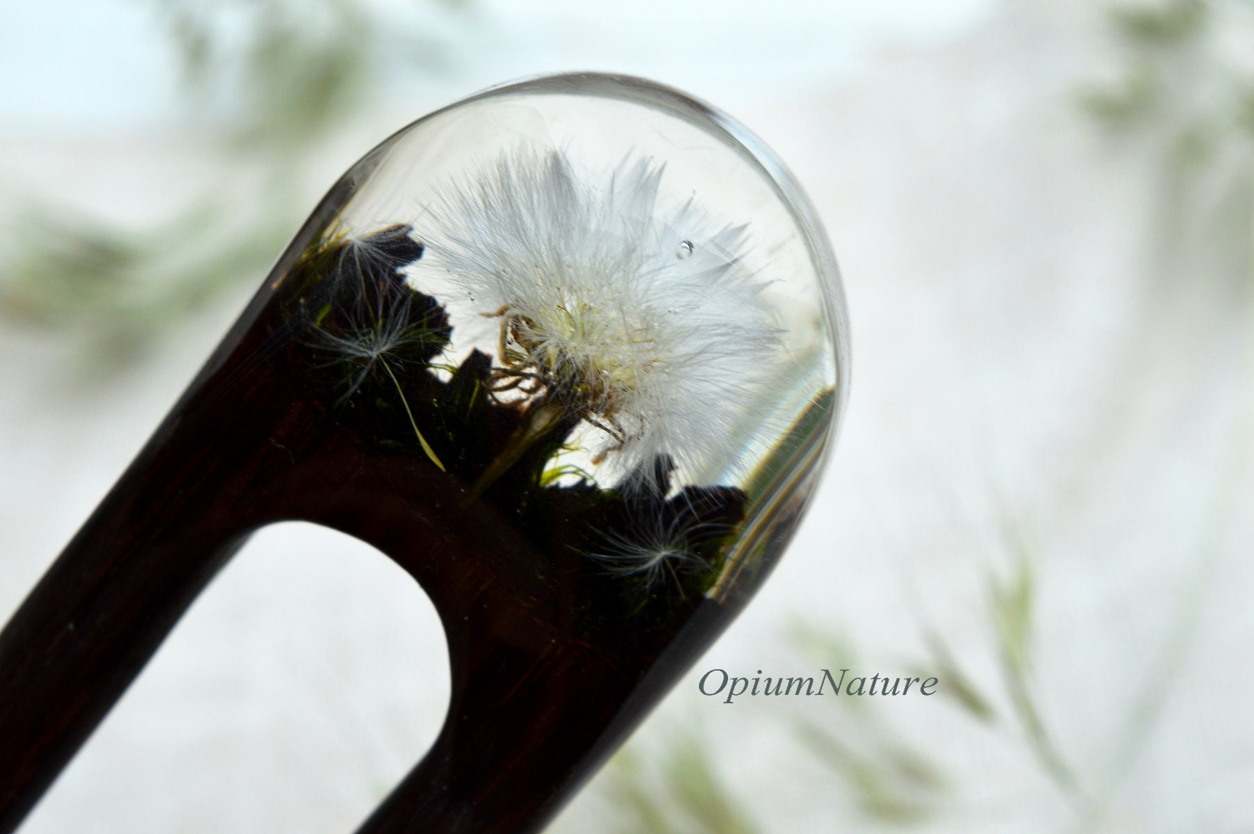 Hairpin Dandelions Hairpin Dandelions