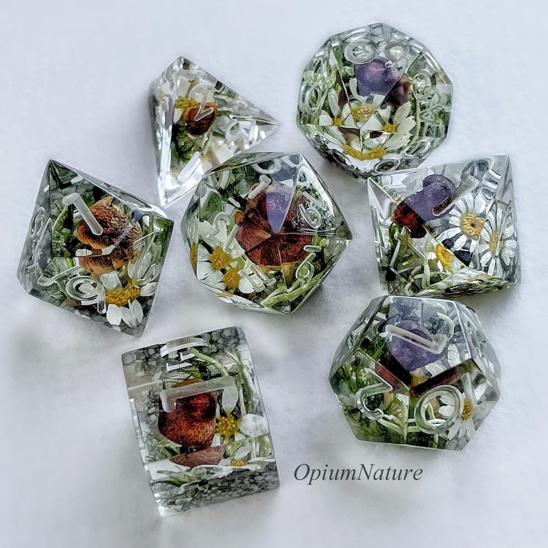 Forest dice set with real mushrooms Critical Role resin polyhedral dice set for RPG game Dungeons and dragons image 2