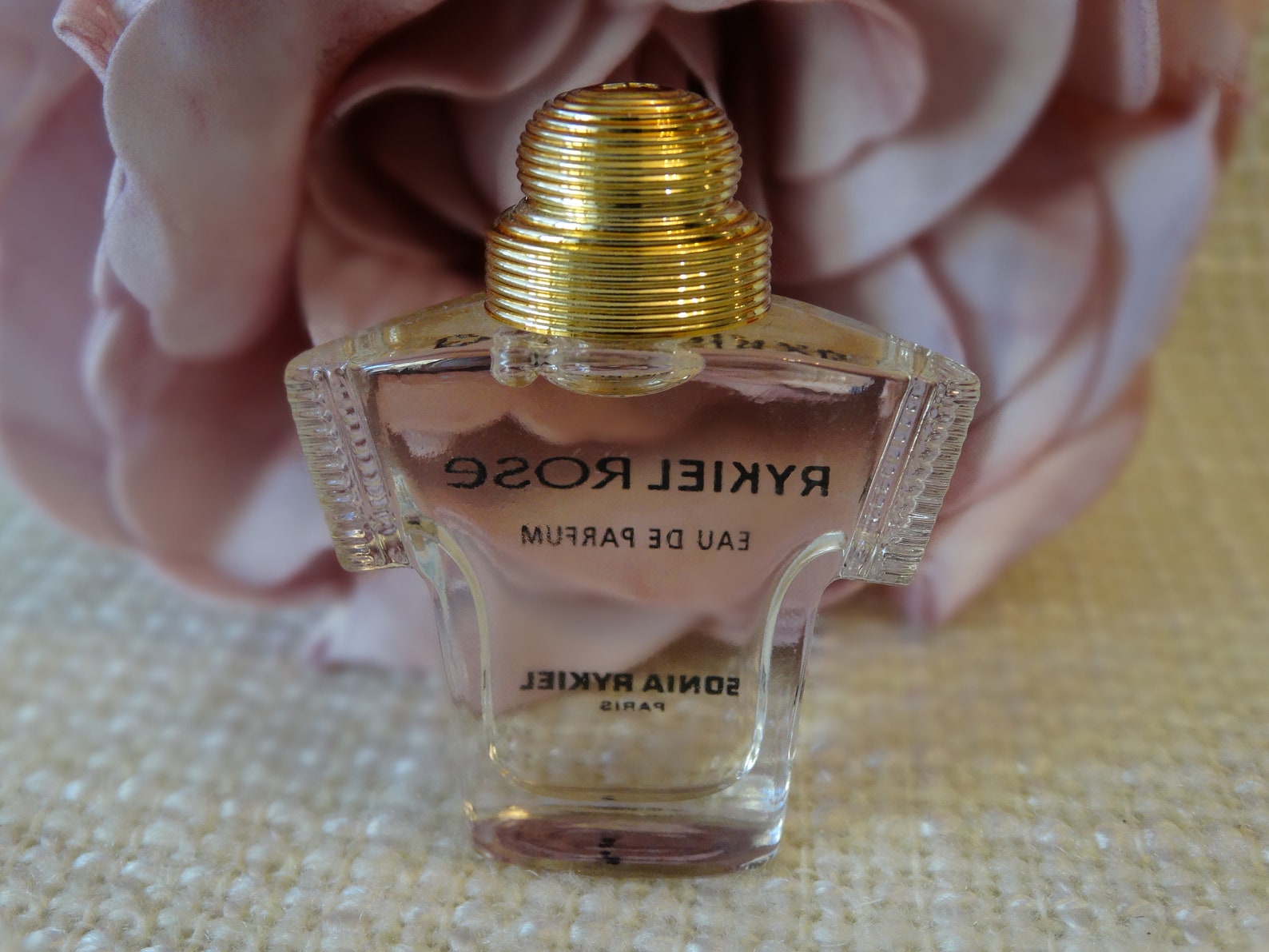 Sonia rykiel rose plant