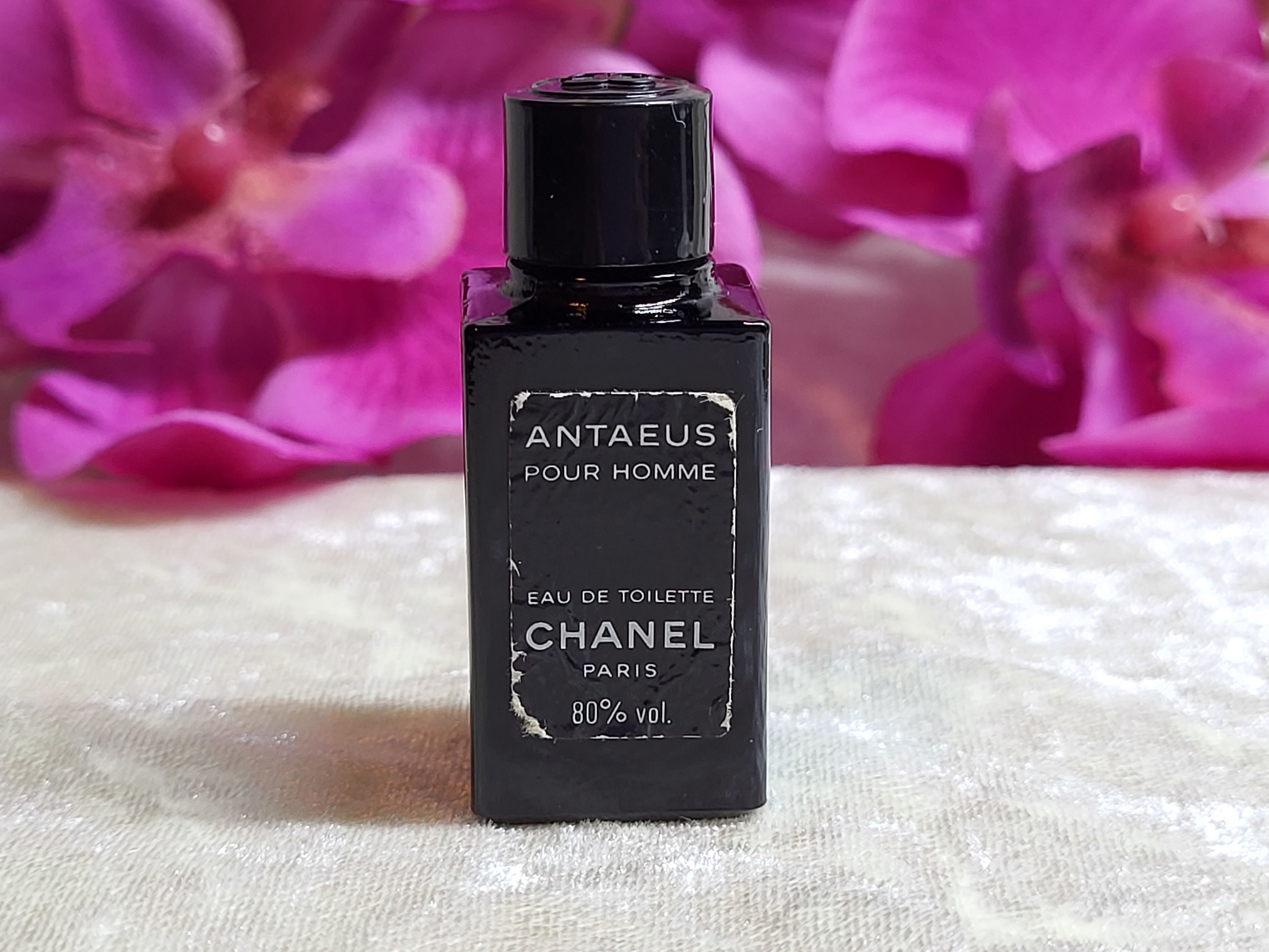 Antaeus Pour Homme Chanel 