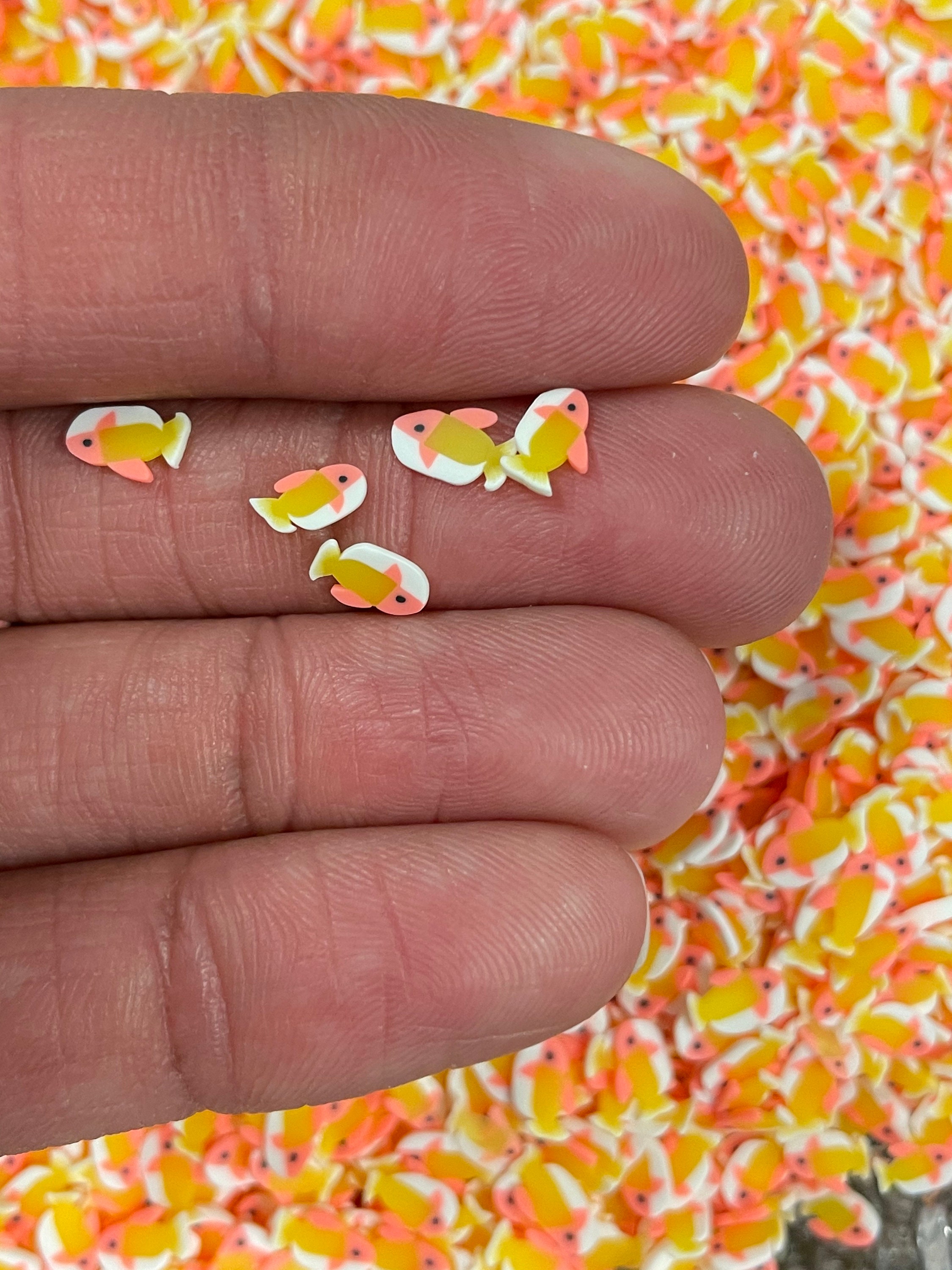 Orange Fish Confetti 