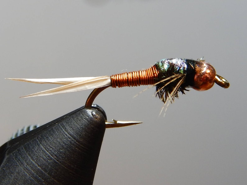 Tungstène cuivre rouge Midge Jig-Taille 18 6 Pêche à La Mouche Nymphe Vole