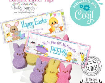 Editable Easter Pastel Rainbow Easter Peeps Gift Tags, Easter, Bunny Peeps Gift Labels, Easter Hangin with my peeps DIY - INSTANT DOWNLOAD