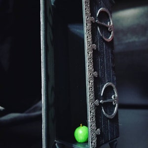 Disappearing Cabinet: Fantasy Bookshelf Decor for Fanfic Lovers image 5