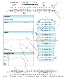 May include: A canine dental chart with a diagram of a dog's teeth, numbered and labeled with the names of each tooth. The chart includes a section for recording clinical signs, diagnosis, treatment, and discharge instructions.