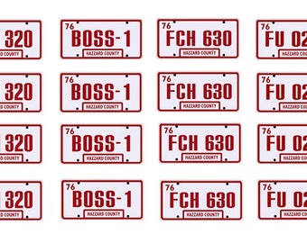 scale model Dukes of Hazzard General Lee Roscoe license tag plates