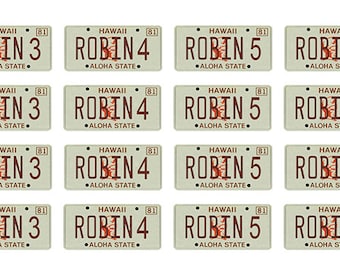 scale model Magnum PI Robin-1 Hawaii car license tag plates