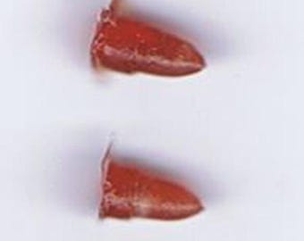 1:25 scale model resin 1959 Cadillac red bullet taillights