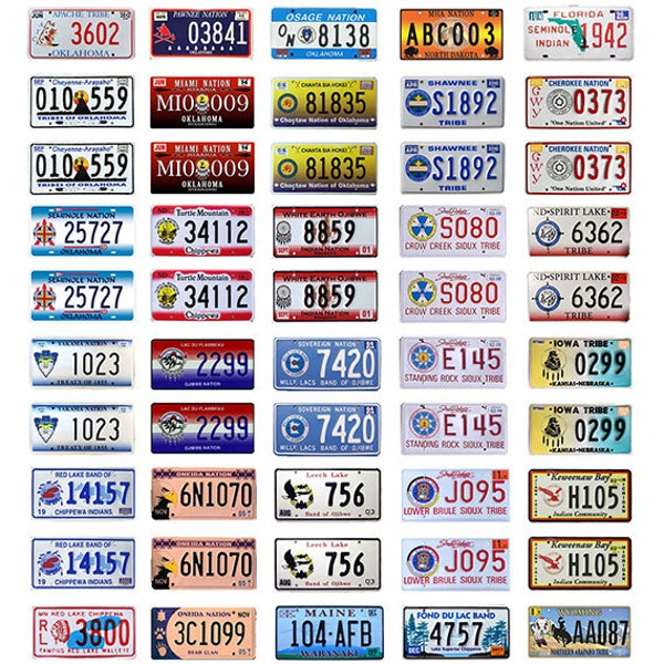 scale model car USA Native American Tribal license tag plates