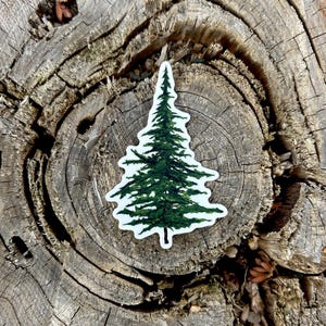 May include: A green and white sticker in the shape of a pine tree. The sticker is placed on a weathered, textured, tree stump with visible growth rings. The tree sticker has a detailed design of needles and branches.