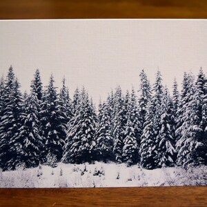 Snowy Trees