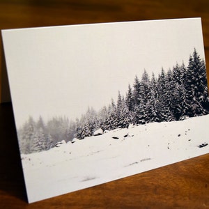 Snow and Trees