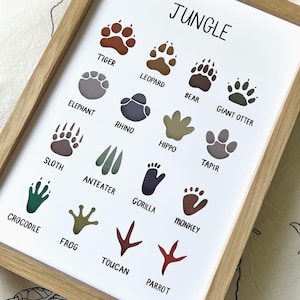 JUNGLE Animal Footprint Tracks Print/Illustration A4