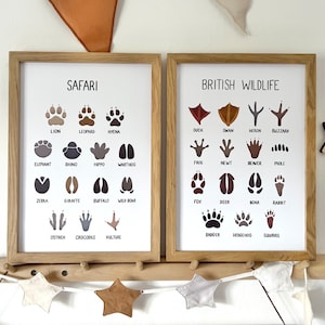 BRITISH WILDLIFE & SAFARI Animal Footprint Track Druck/Illustration A4