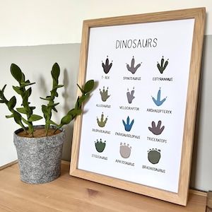 DINOSAUR Animal Footprint Tracks Print/Illustration A4
