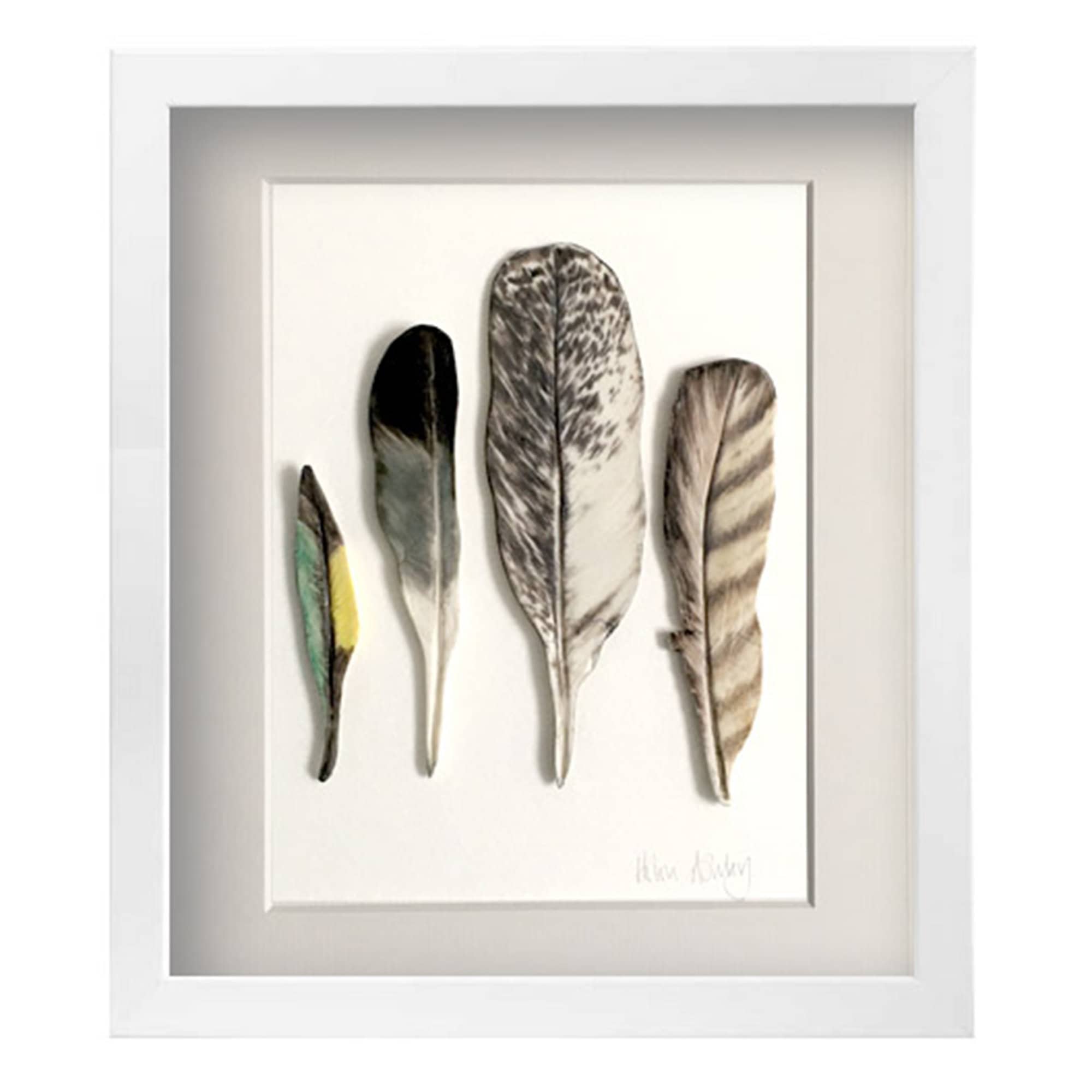 セール！ Feather and Brush：オーストラリア鳥類芸術300年 Porcelain Feather Painting, Handmade Framed Feather