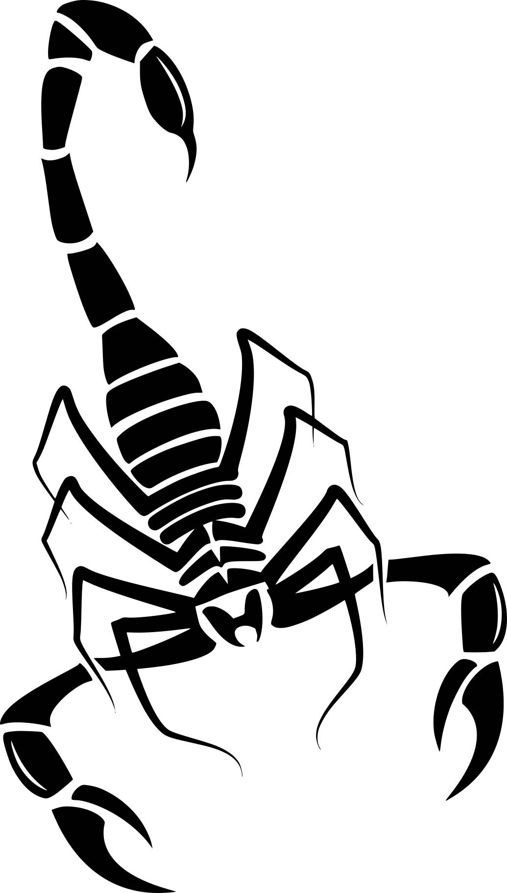 Scorpion decal scorpion sticker by DecalTheory on Etsy Etsy