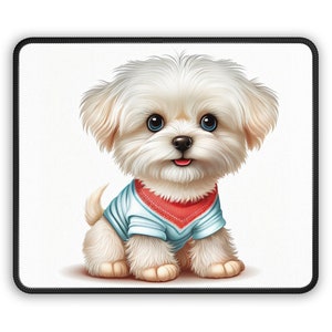 May include: A white fluffy dog wearing a blue and red sweater. The dog is sitting on a white background.