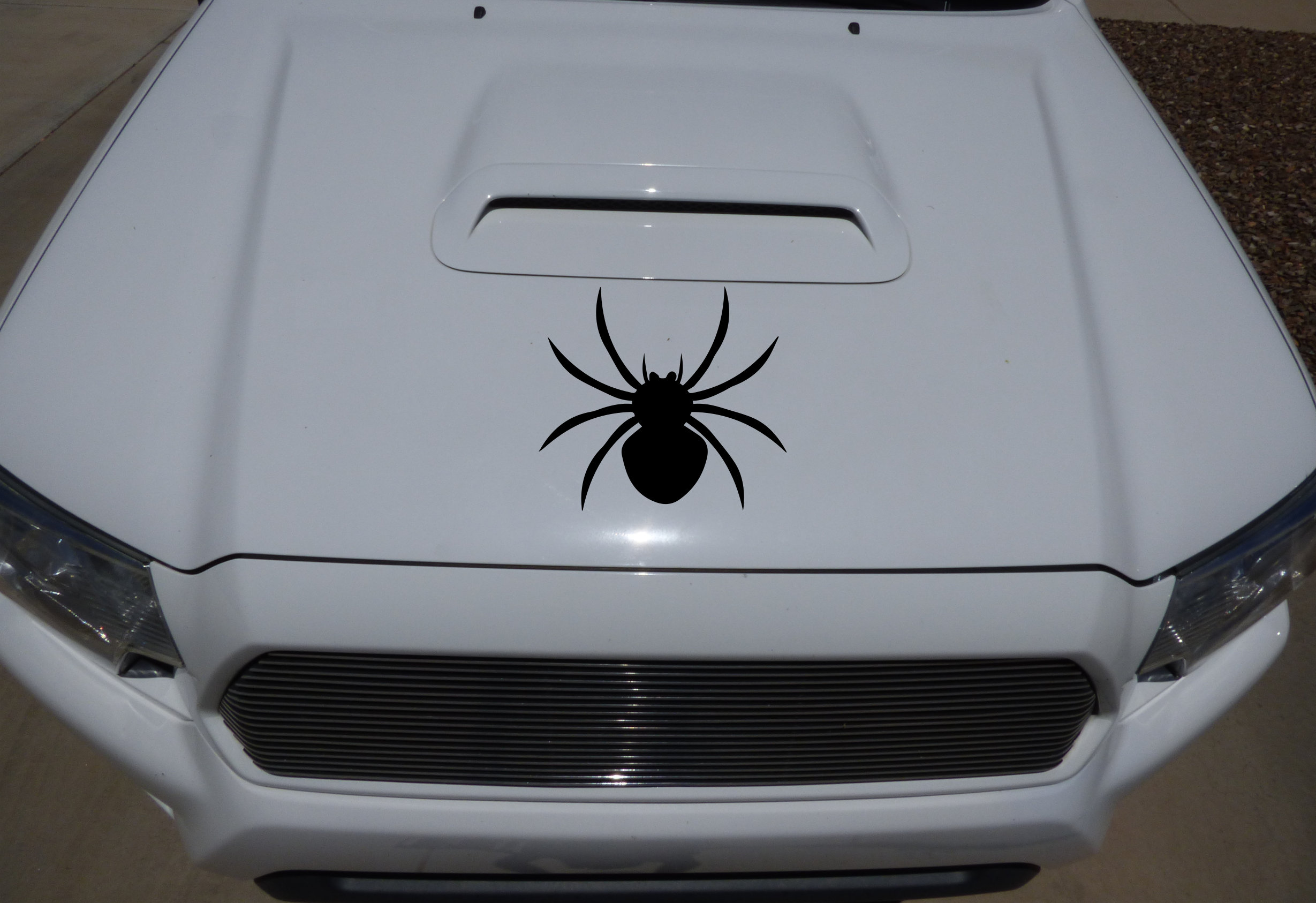 Black spider decal spider sticker by DecalTheory on Etsy Etsy
