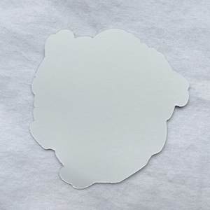 May include: White sticker with a cloud-like shape.