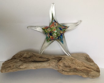 Millefiori Starfish, Hand Blown Glass  Paperweight