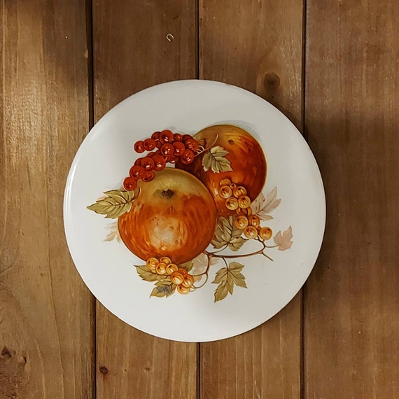 Two Hyalyn Fruit Trivet Hot Pot Tile Etsy UK