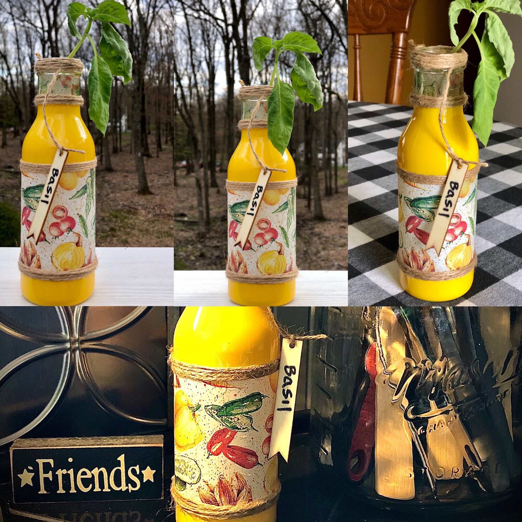 Vegetable decor jar, herb bottle, vegetable decor, lighted