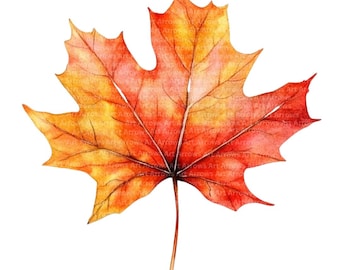 5 Autumn Leaves, Fall Leaves, printable Watercolor Clipart, Digital Download, junk journals, Leaves Clipart, transparent background