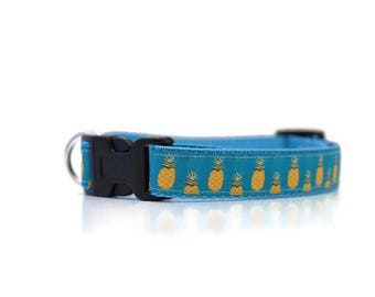 Summer dog collar, pineapple dog collar, boy dog collar, girl dog collar, male dog collar, female dog collar, spring dog collar