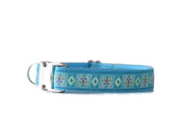 Light blue Dog Collar, butterfly dog collar, Girl Dog Collar, female dog collar, spring dog collar, nylon dog collar, summer dog collar