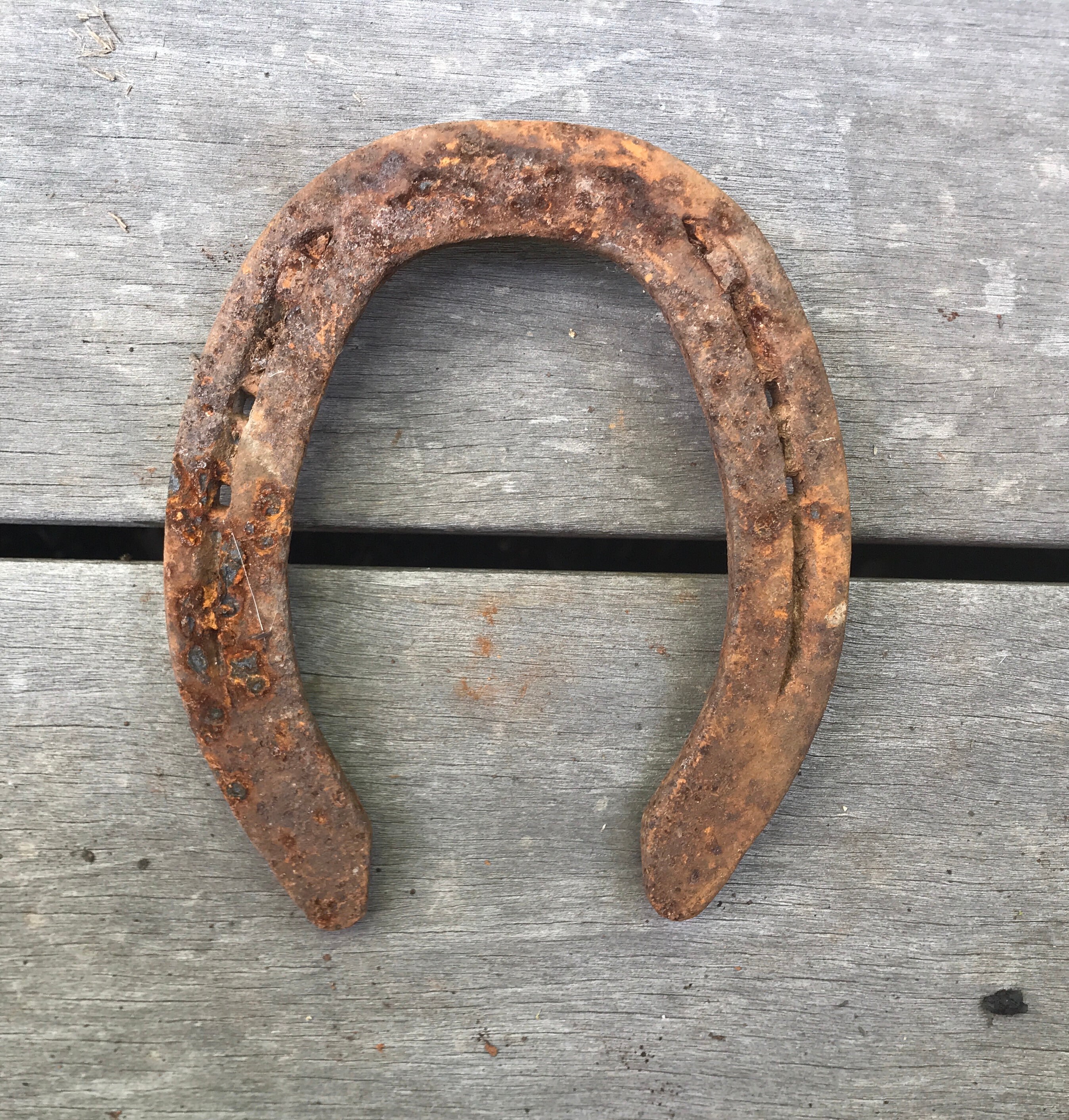 27 Used Rusty Rustic Steel Horseshoes for Crafts or Welding Etsy
