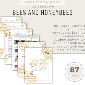 May include: A stack of printable educational materials titled "Bees and Honeybees" with 19 lessons. The pages feature honeycomb designs and include indoor and outdoor activities. The set includes 87 pages and is available for instant download.