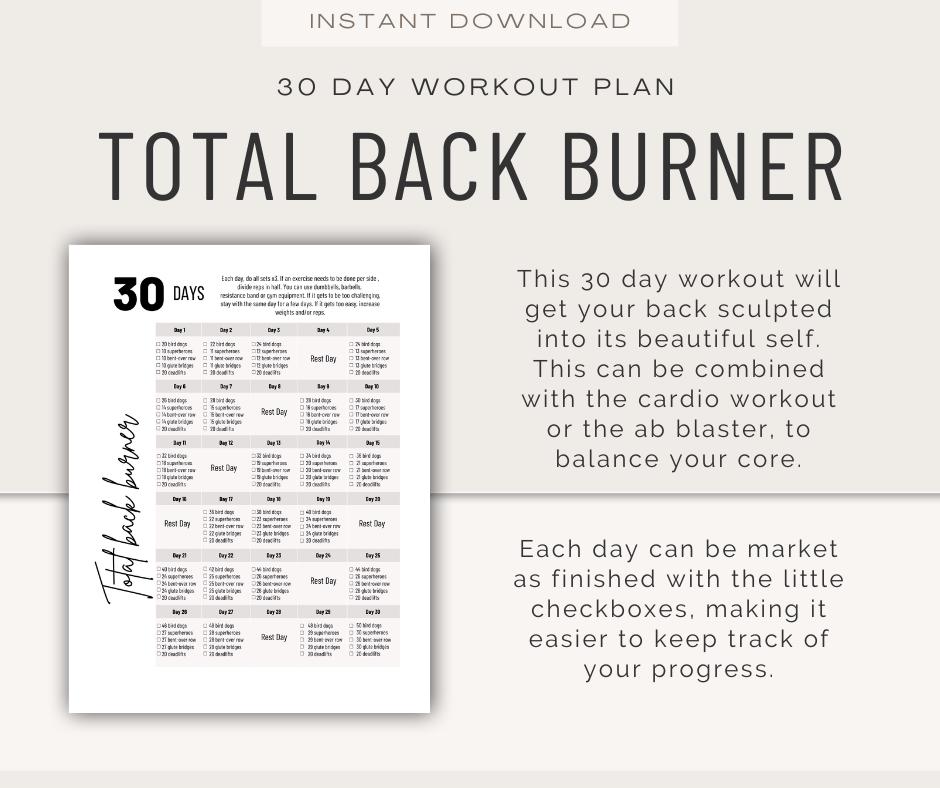 30 Day Home Workout Plan Bundle: 6 Plans, Pictographs (editable PDF ...