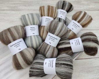 MULTICOLOR WOOL FIBER taster package - natural colored wool fibres, staple fibres, top for spinning - 160g