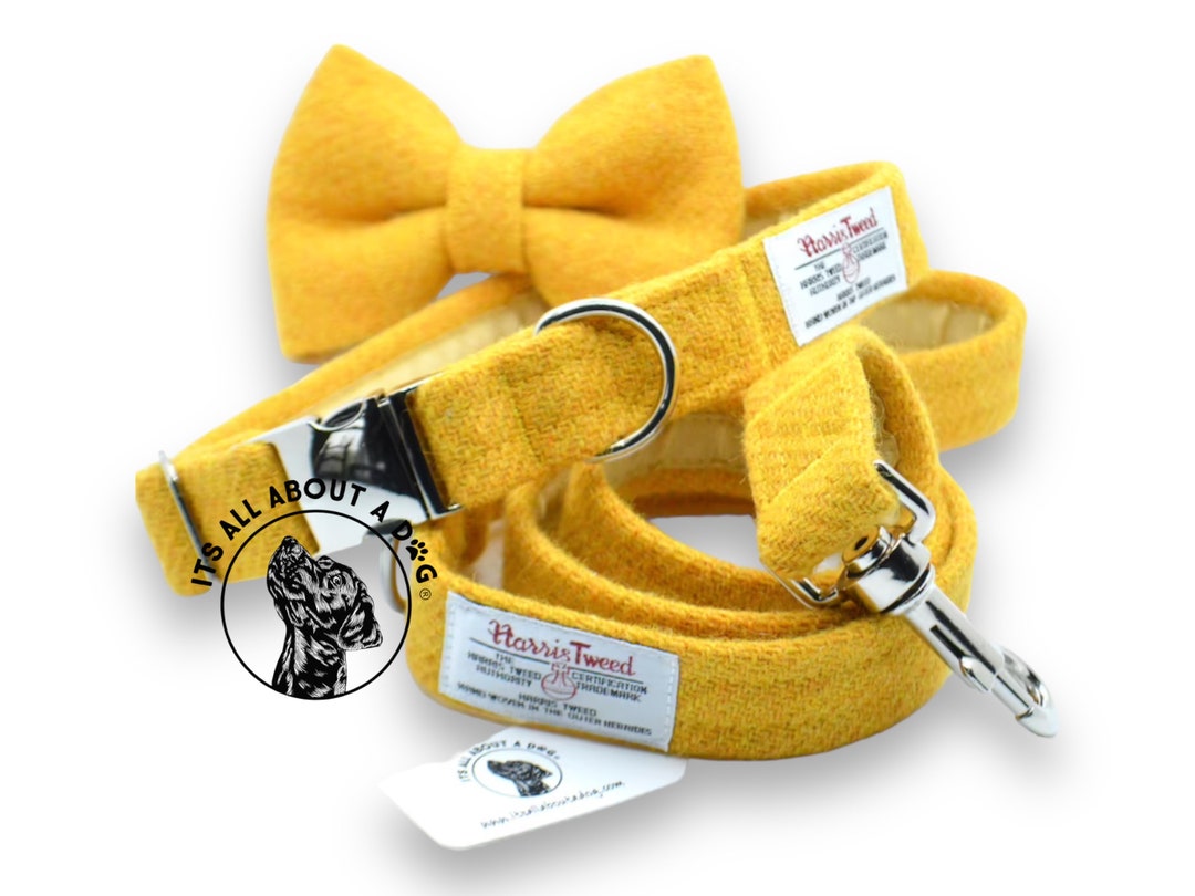 Harris Tweed Mustard Yellow Dog Collars Leads Bow Ties Bandanas for