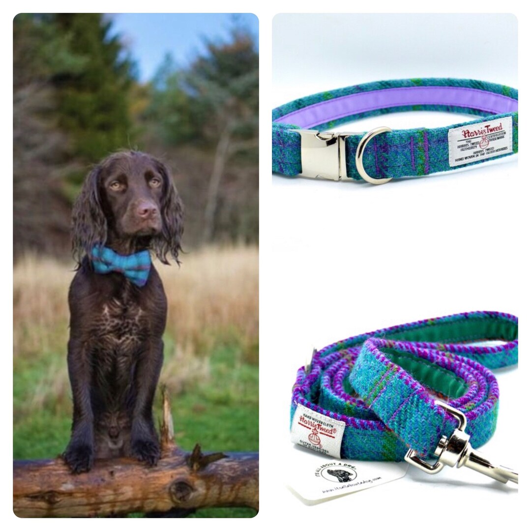 Harris Tweed Turquoise Tartan Dog Collars Leads Bow Ties Bandanas for