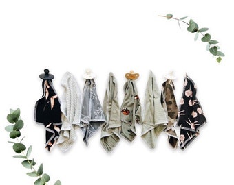 Pacifiers and accessory 