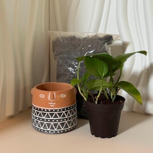 May include: A terracotta-colored ceramic pot with a face design and a black and white geometric pattern. A small potted plant with green leaves and a bag of soil are next to the pot. The items are on a white surface.