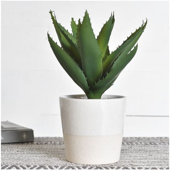 Real Touch Faux Aloe Plant in White Ceramic Pot Farmhouse Etsy