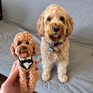 Perro en esmoquin Adorno para tarta de boda personalizado Goldendoodle (cualquier raza) 5 o 3,5 pulgadas